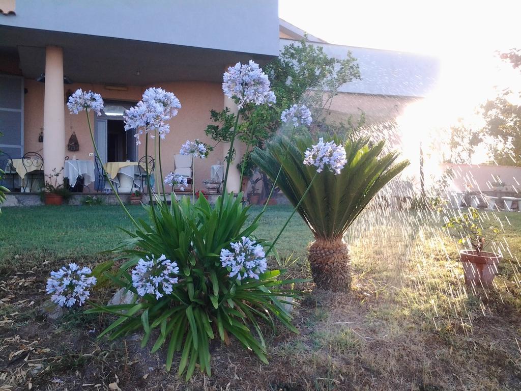 Guest House Villa Di Judighes Cerveteri Luaran gambar